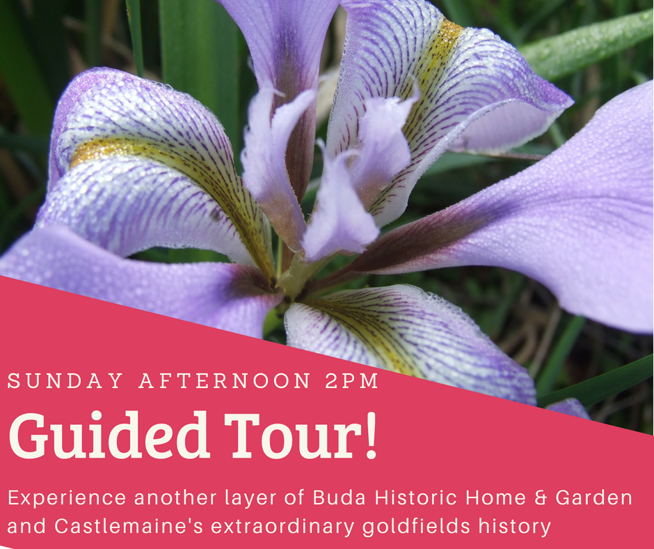Guided Tours